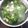 Cooksnap của Trần Nguyễn Thanh Thảo khi họ làm theo món Canh cải bẹ cá thác lác