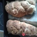 Cooksnap από Βασίλω στη συνταγή Αφράτο ψωμί