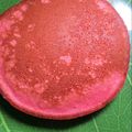 Cooksnap dari Vivian Irianti untuk resep Pancake Sederhana Topping Suka2