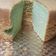 Cooksnap dari Rumah Pizza untuk resep Pandan Chiffon Cake
