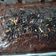 Cooksnap dari Mbak D untuk resep Fudgy Brownie Shiny/ Brownies Panggang (Takaran Sendok,No Mixer)