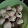 Cooksnap dari Adek Suri untuk resep Bakpao isi coklat