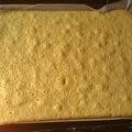 El cooksnap de ana estefania cuando hizo Masa básica para pionono.