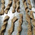 El cooksnap de Panambi cuando hizo Grisines con semillas (tipo galletita).