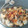 El cooksnap de Angels cuando hizo Moussaka griega.