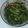 Cooksnap dari Sefty Alaza untuk resep Tumis kangkung