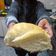 El cooksnap de Sabri Campos @sabricamposok cuando hizo Pan Casero Muy Esponjoso.