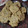 El cooksnap de Celina Belsún cuando hizo Galletitas de avena, banana y nueces.