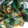 Cooksnap dari Mrs.suwariyono untuk resep Kerang ijo saos tiram pedas