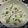 Kumkum Chatterjee's cooksnap of when they made Matar Pulao With Leftover Rice.