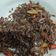 Cooksnap dari NayNay untuk resep Tumis Penja Kunyit