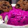 Cooksnap dari Silvi Dwi Agustin untuk resep Es Cream Buah Naga