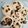 Cooksnap dari Reyhan's Kitchen untuk resep 122. Bolu nutrisari kukus