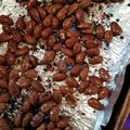 Chef Mommy Nessa's cooksnap of when they made Cinnamon almonds treat.