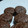 El cooksnap de angeles farre cuando hizo Muffins o magdalenas de chocolate KETO.