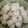 Cooksnap dari dyahdwinda's kitchen untuk resep Pentol a.k.a Bakso ayam blender