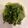 QBee Sindy Chien 的 炒空心菜 cooksnap