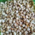 Cooksnap dari Nurul Hijaty untuk resep Kacang Hijau Crispy