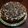 El cooksnap de Estela Alves cuando hizo Torta de chocolate con cobertura de suspiro.