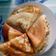 Cooksnap dari Wulan daryoco betris untuk resep Crepes anti gagal