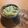 El cooksnap de Marcelo Caluori cuando hizo Guacamole.