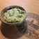 El cooksnap de Marcelo Caluori cuando hizo Guacamole.