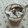 El cooksnap de Beacocinilla cuando hizo Mousse de chocolate.