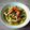 Cooksnap dari Lungit Darmawan untuk resep Tongseng Ayam