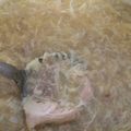 Cooksnap dari Ditya Anggraeni untuk resep SUP AYAM TELUR ala LC