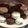 El cooksnap de Fer Gonzalez cuando hizo Alfajores caseros tipo Habana.
