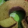 Cooksnap dari Yenni Harahap untuk resep Bolu Gula Merah