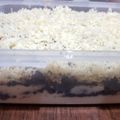 Cooksnap dari chacha untuk resep Cheescake oreo