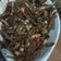 Cooksnap dari Riva Mauliza untuk resep Ikan teri (kaholeo) masak asam khas buton sulawesi