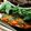 Cooksnap dari Lidha untuk resep Pepes Ikan Mas