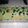 Cooksnap dari irma chintyasari untuk resep Bolu Pisang Pandan Kukus
