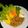 Cooksnap dari Mawar MWR_kitchen untuk resep Salad Solo yummy