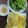 Cooksnap của Cooked By Qiqi khi họ làm theo món Bánh Xèo