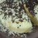 Cooksnap dari Hindun untuk resep Bolu Jerman Kukus