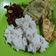Cooksnap dari Vionna Octavia untuk resep Nasi Lemak Gurih (Rice Cooker)