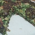 El cooksnap de Marcela Mendevil cuando hizo Tortilla de espinaca cruda 👩🏻‍🍳.