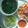 Cooksnap của Nguyễn Thị Hồng Hạnh khi họ làm theo món Cơm nhà số 10
