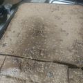 El cooksnap de Tamii Aranda cuando hizo Brownie fácil!!!.