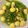 Cooksnap dari vide untuk resep Telur puyuh bumbu kuning