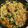 Cooksnap dari Nur Almira Rahardyan untuk resep Mie Tek Tek / Mie Kuah Pedas (Indomie Goreng Instan)