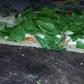 El cooksnap de Jasmin Dippolito cuando hizo Pizza integral con verdura y ricota.