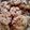 Cooksnap dari Fritha Susanti untuk resep Crispy and Crunchy Chocolatechips Cookies