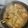 Cooksnap dari Merielle Yuditha Canary untuk resep Ayam Lodho
