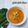 Cooksnap dari Vay Kitchen untuk resep Gulai labu siam buncis