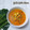 Cooksnap dari Vay Kitchen untuk resep Gulai labu siam buncis