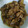 Cooksnap dari sri puji rahayu untuk resep Ati Ampela bumbu Kecap Praktis